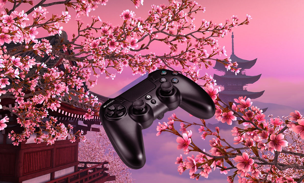 япония, PlayStation